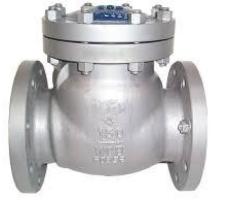 CHECK VALVES IN KOLKATA - 1/1